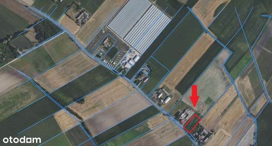 Działka pod hale i dom jednorodzinny - Pełny obrazek: 4/4