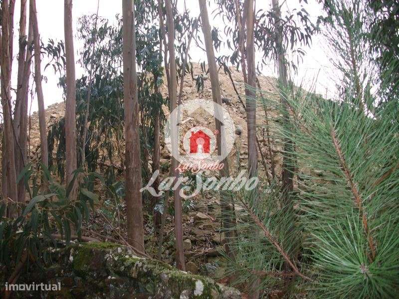 Terreno rustico com 17.000 m2 em Fornelo - Vila do Conde - Grande imagem: 4/15