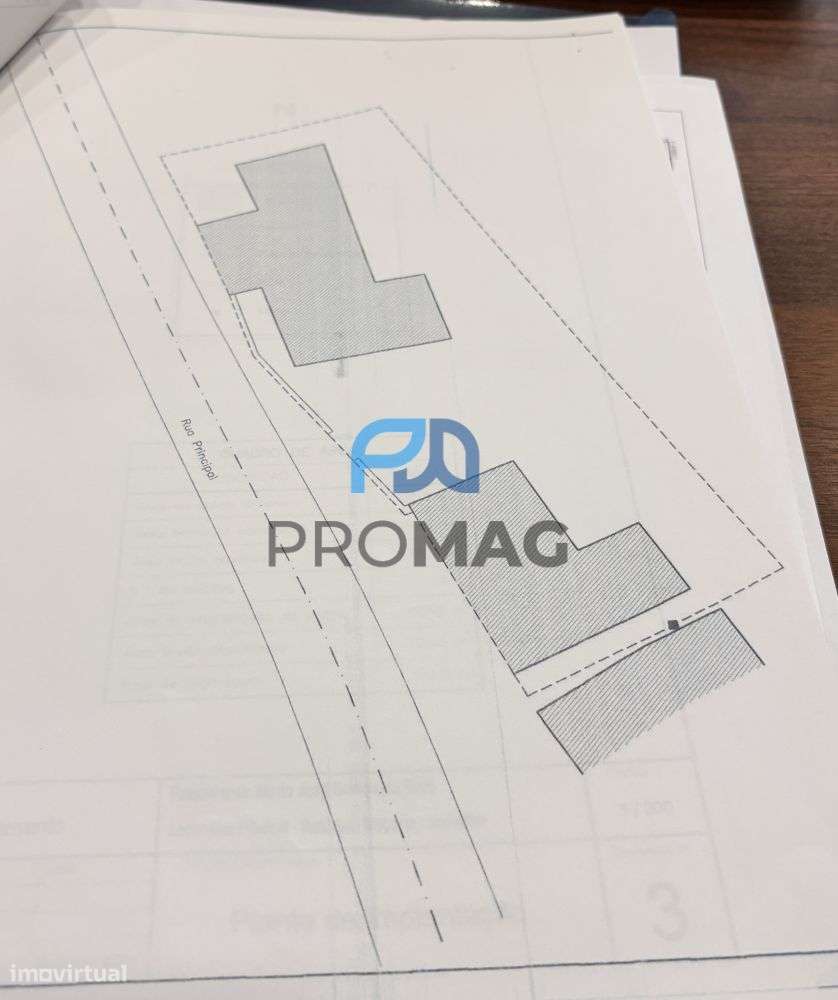 Quinta com Ruína – Oportunidade de Investimento | Santarém - Grande imagem: 5/8