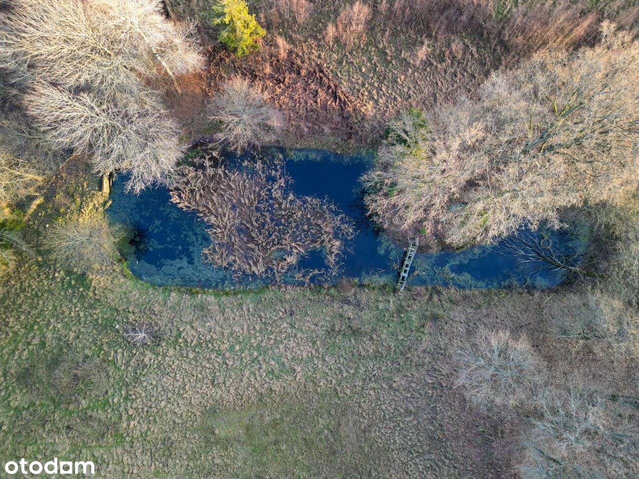 Wyjątkowa rezydencja w sercu natury – 5 ha prywatnej przestrzeni-18