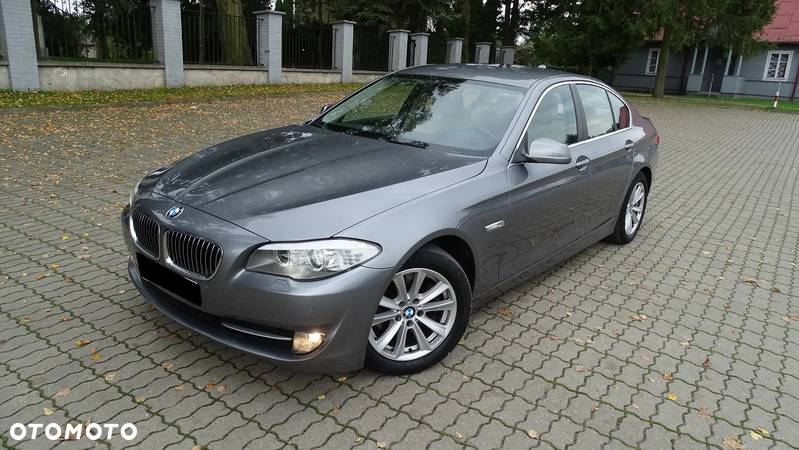 BMW Seria 5 520d Edition Fleet - 1