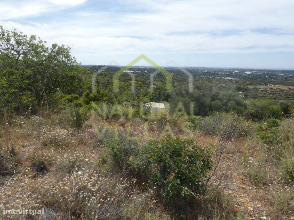 Terreno com Vista Mar Panorâmica em Santa Bárbara de Nexe - Grande imagem: 5/7