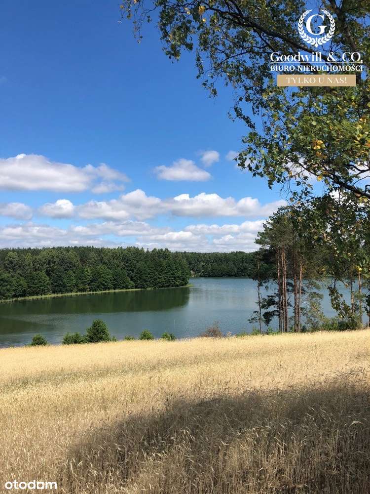 Działka na Kaszubach - Pełny obrazek: 1/5