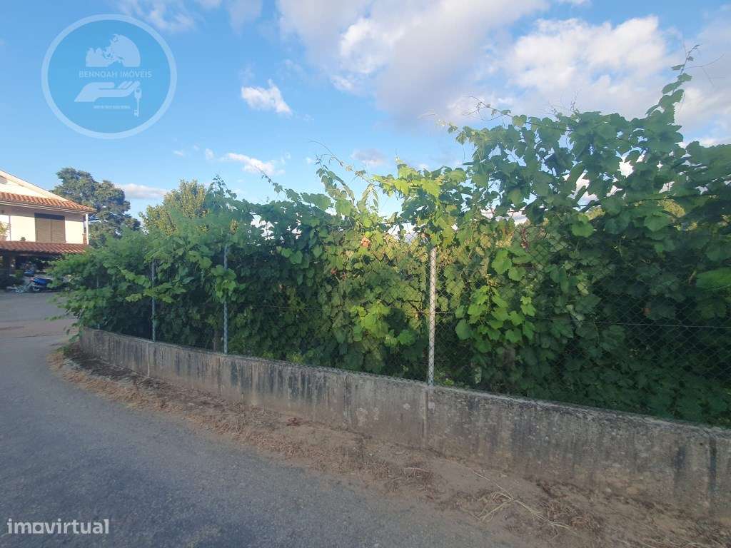 Quintinha à venda- Arco de Baúlhe-12