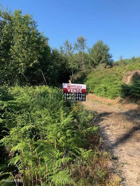 Quinta do Barreiro com 2 Casas para Recuperar-5