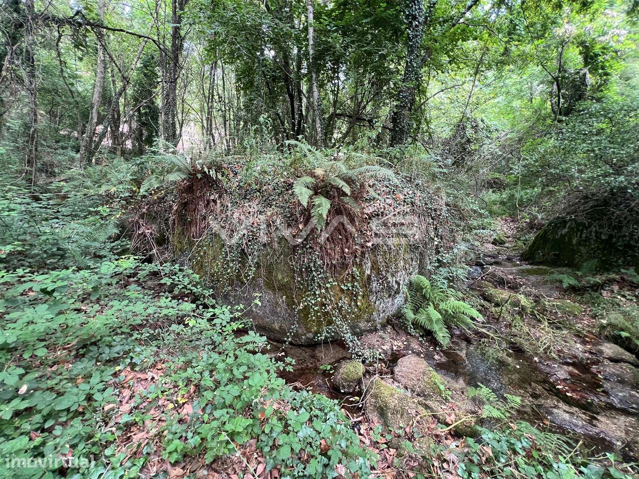 Terreno Rústico  Venda em Bouro (Santa Marta),Amares - Grande imagem: 4/11