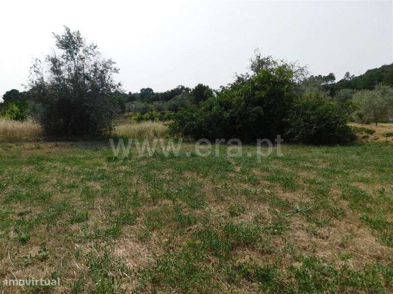 Terreno Rústico / Fundão, Pêro Viseu - Grande imagem: 4/7