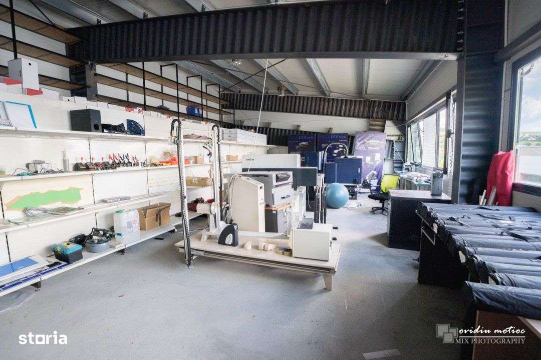 Hale in parcul Tetarom I-5