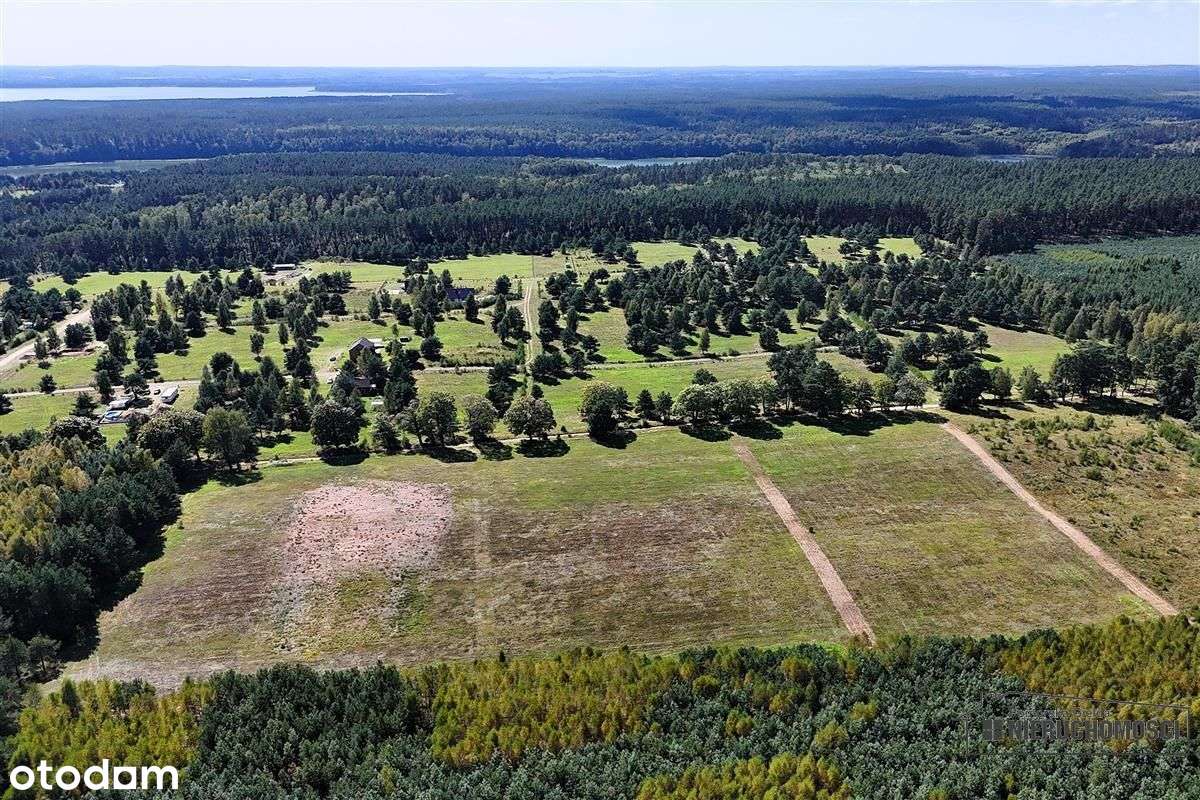 Okolica jeziora Dołgie i kompleksów leśnych. - Pełny obrazek: 4/20