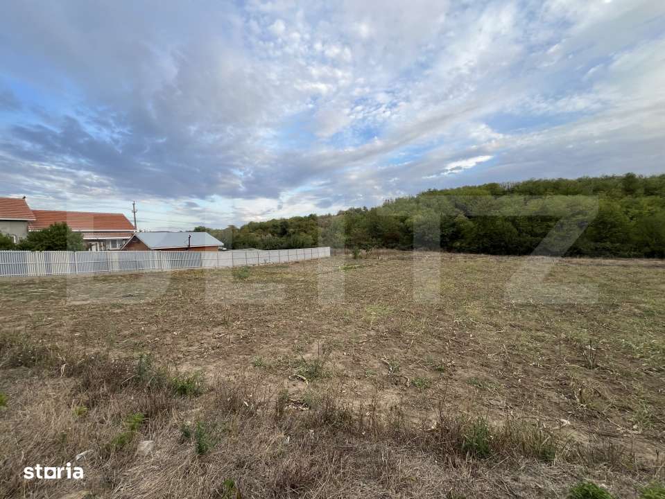 Teren in Filiasi 1000 mp / 30 ml front, toate utilitatile - Imagine principală: 3/6