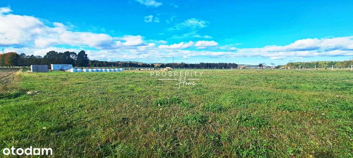 Działki budowlane w Zelewie-10