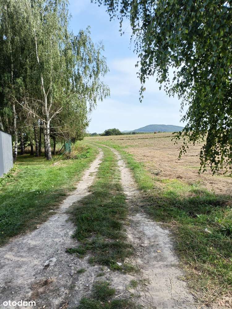 Lalin -  działka idealna pod domki letniskowe - Pełny obrazek: 5/16