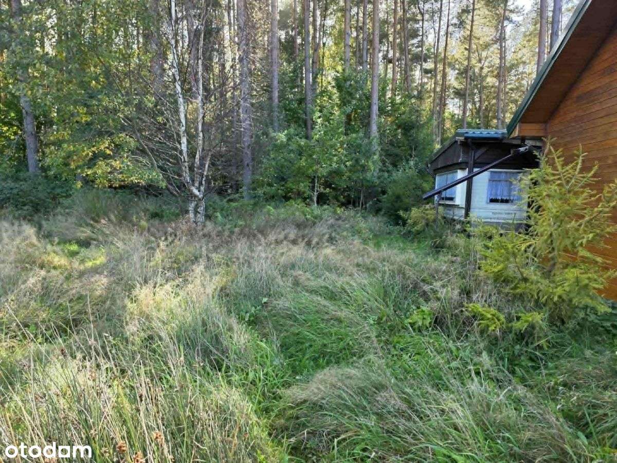 Magiczne Kopalino nad morzem - Pełny obrazek: 5/6