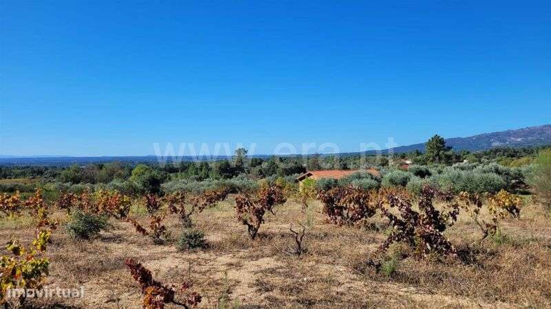 Terreno / Fundão, Cortiçada - Grande imagem: 4/4