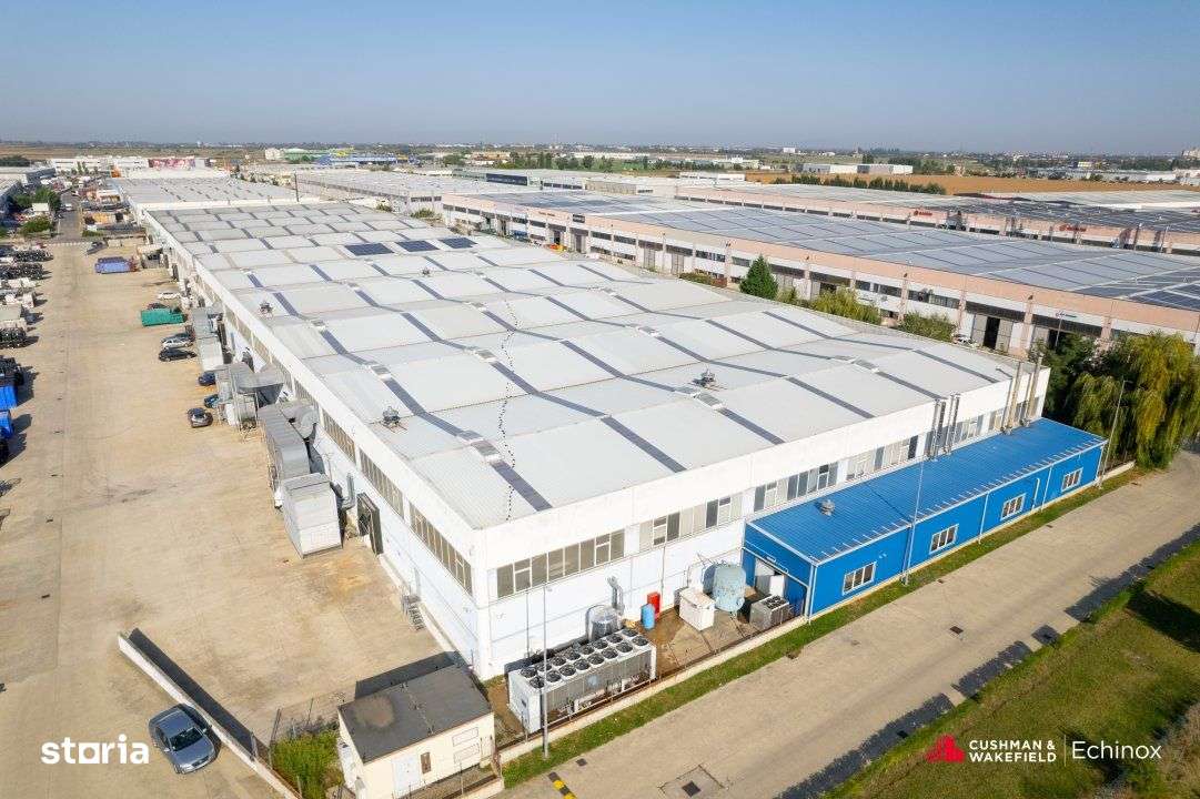 Timișoara - Depozit și birouri de vânzare-3