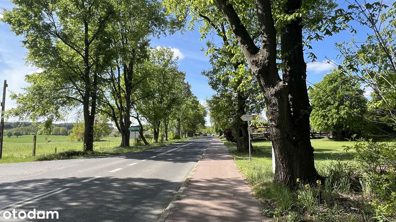 Byszewy! Piękny rejon, dobra lokalizacja i zielono! - Pełny obrazek: 4/9