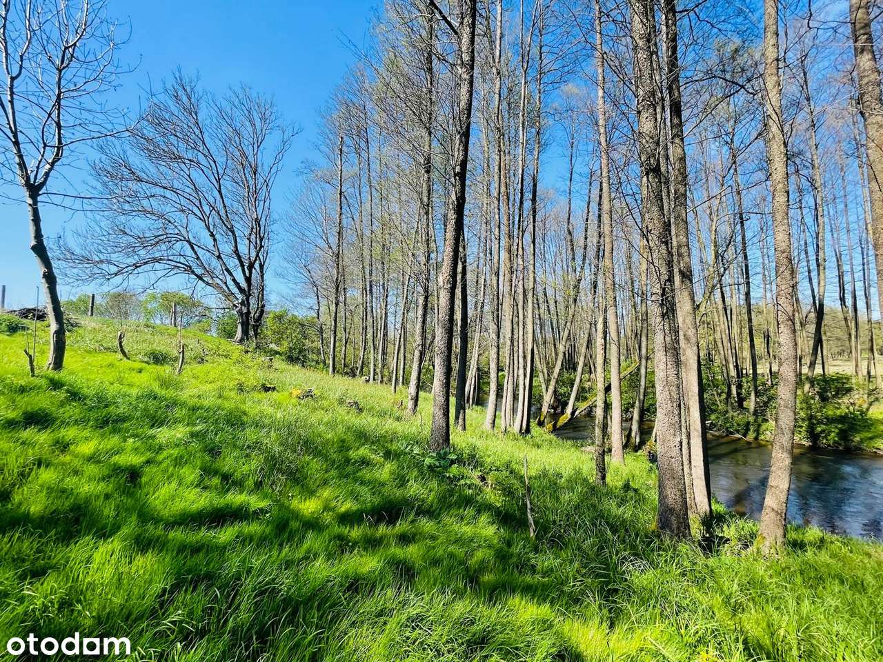 Działka budowlana nad rzeką z potencjałem Tarnowo gm. Szydłowo - Pełny obrazek: 4/18