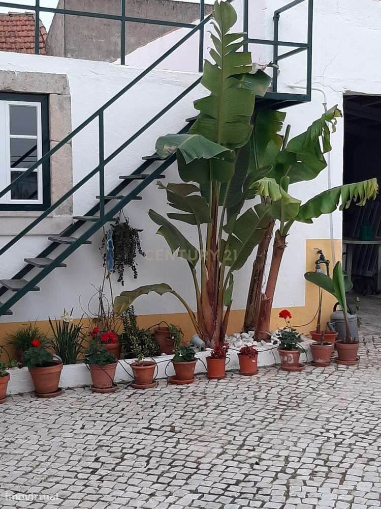 Pequena Quinta ou Terreno com Moradia T4 na Labrugeira - Alenquer-23
