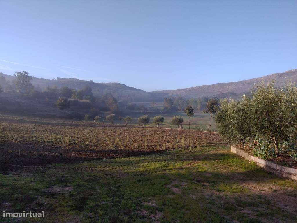 Quinta de 5ha no Coração do Douro - Riodades-6