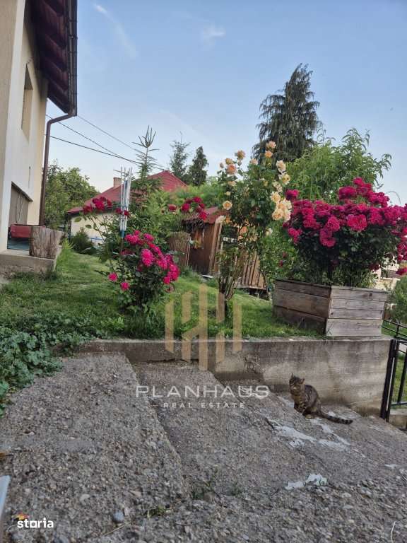 Casă individuală ,Baia Sprie ,teren 750 mp ,toate utilitatile - Imagine principală: 2/20