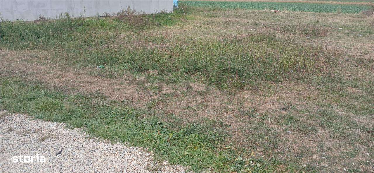 RECO Teren intravilan in Tarian - Imagine principală: 2/4