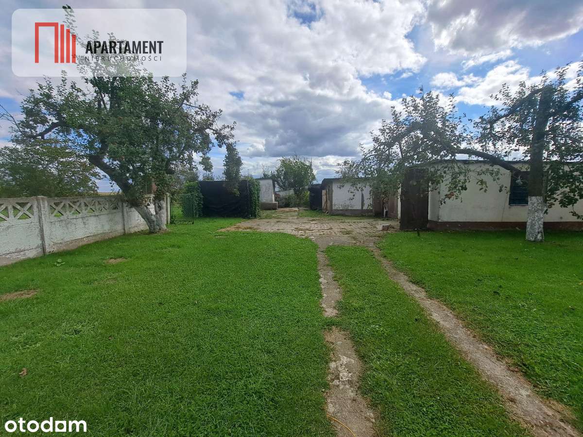 Dom z dużą działką/garaż/spokojna okolica - Pełny obrazek: 5/19