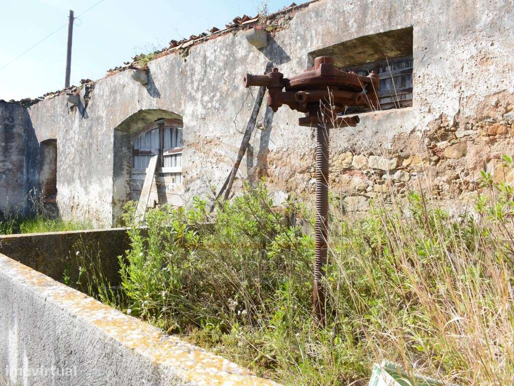 Adega para restauro + terreno de 1548 m2 - Grande imagem: 5/16