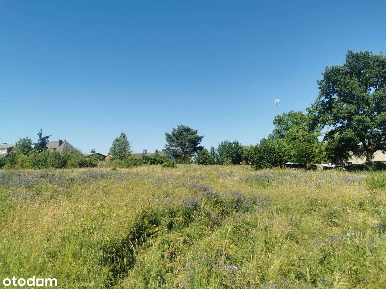 Działki budowlane w centrum (5 szt.)- Lipka-14