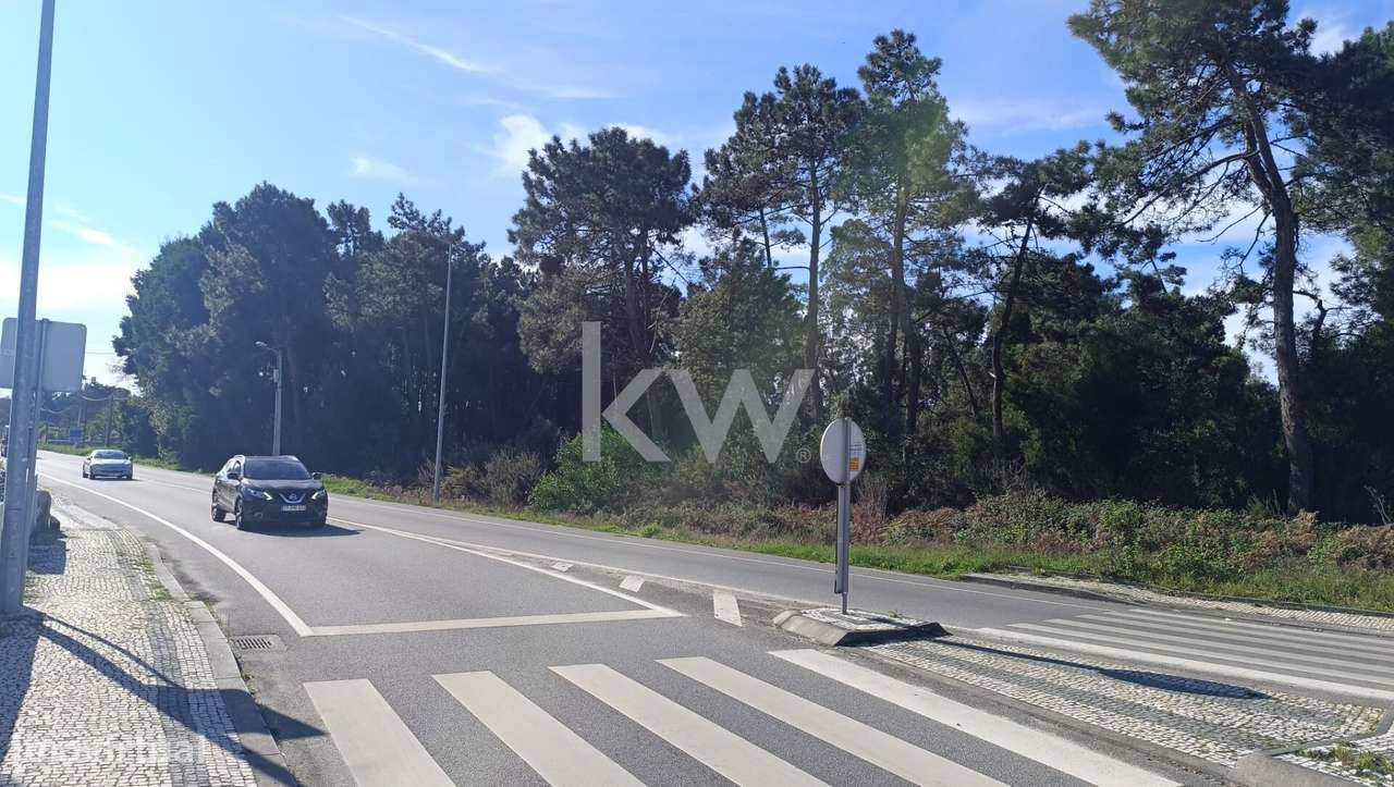 TERRENO COM PIP APROVADO PARA CONSTRUÇÃO EM ESPOSENSE A 800 METROS DA - Grande imagem: 4/6