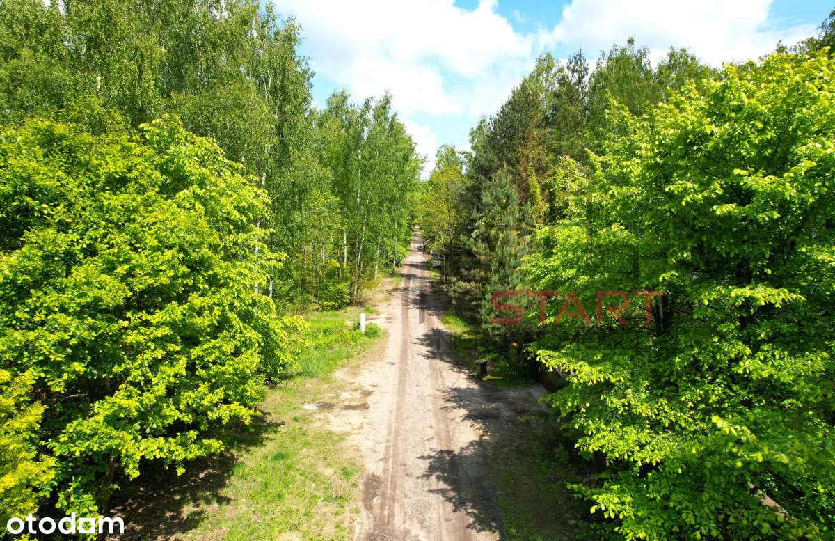 Media, park, Mpzp. - Pełny obrazek: 5/7