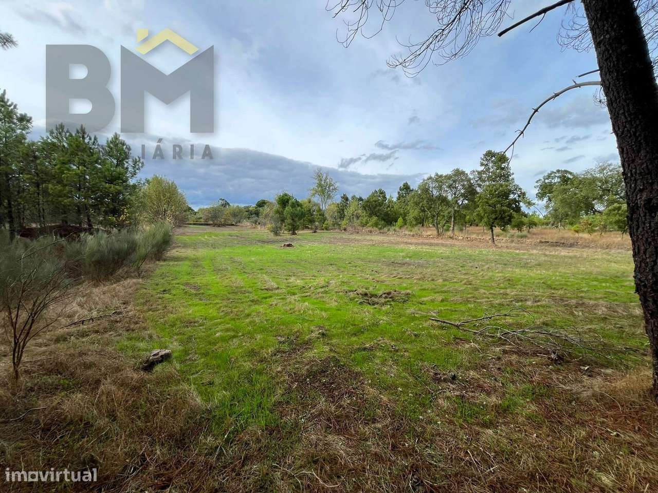 Quintinha  Venda em Póvoa de Rio de Moinhos e Cafede,Castelo Branco-8
