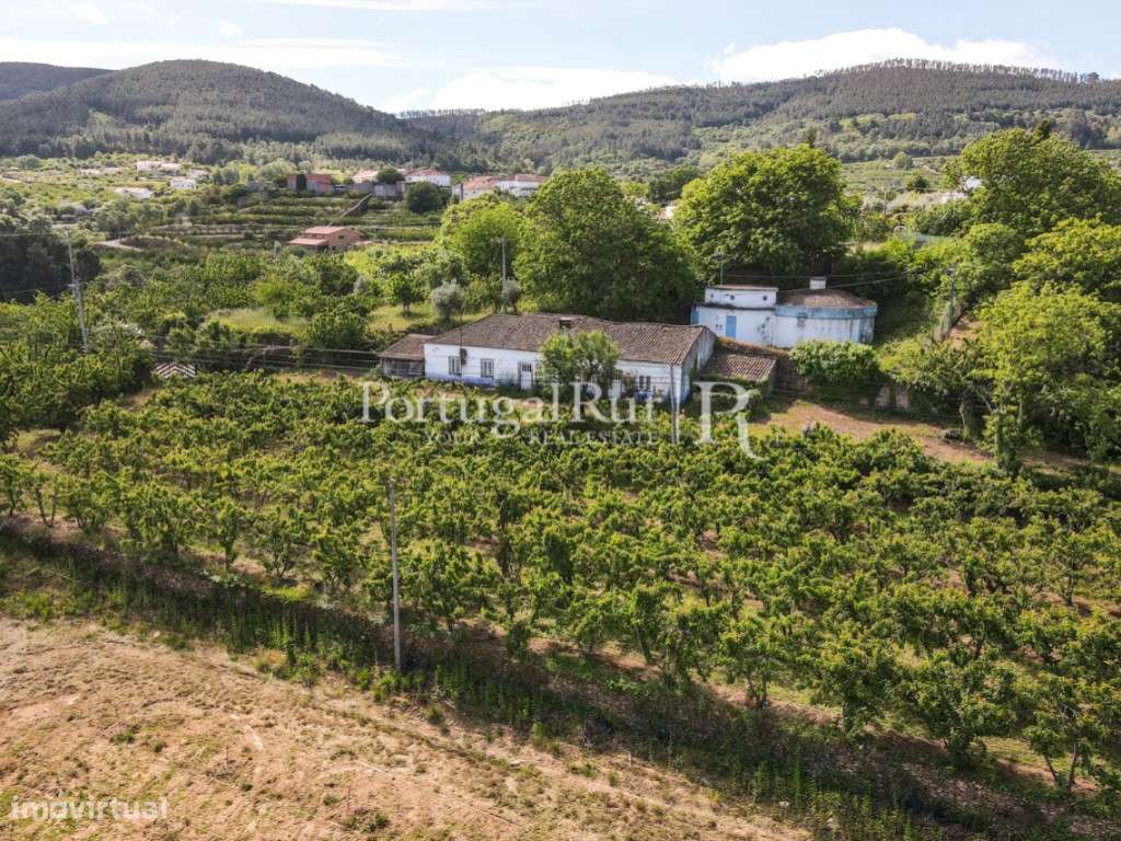 Quinta de 4 ha com 3 casas e cerejeiras no Fundão, ideal para turismo-8