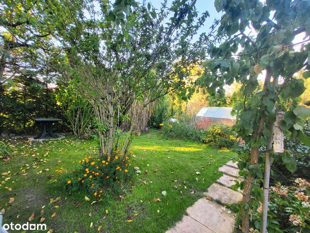 Bezrzecze / Dom wolnostojący-11