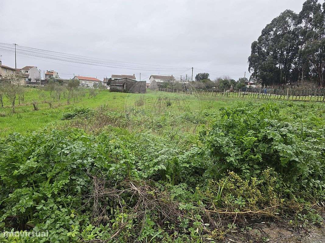 Terreno  para venda - Grande imagem: 4/6