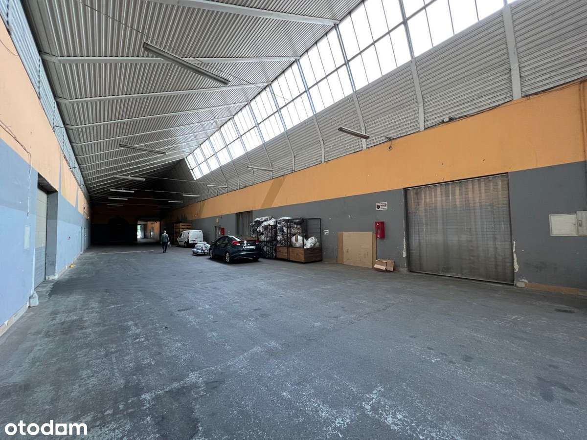 Hala magazynowa wysoki skład/Produkcja - 1000m2 - Pełny obrazek: 5/9