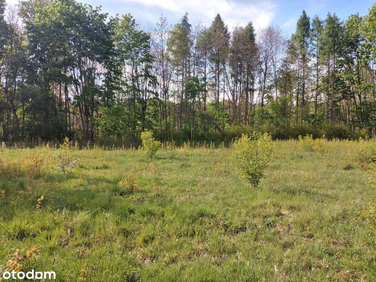 PROMOCJA - Działki budowlane nad jeziorem-10