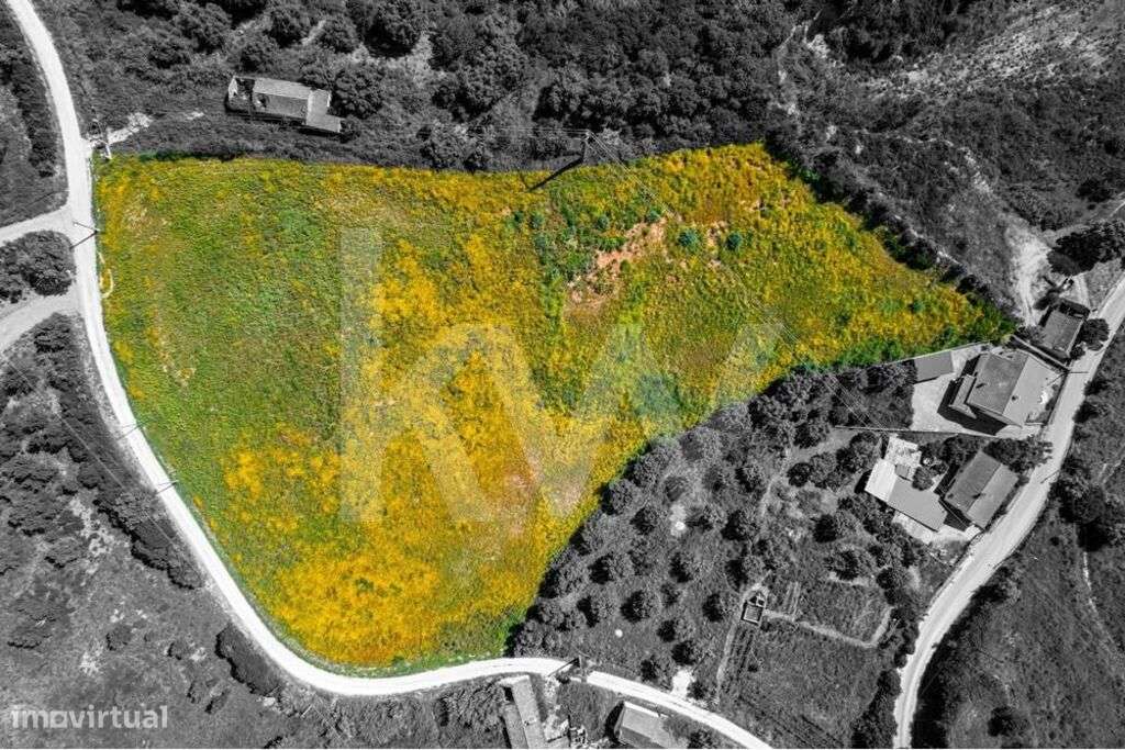 Magnífico terreno, em Santarém, Construção até 3000m2, em zona de exce - Grande imagem: 2/20