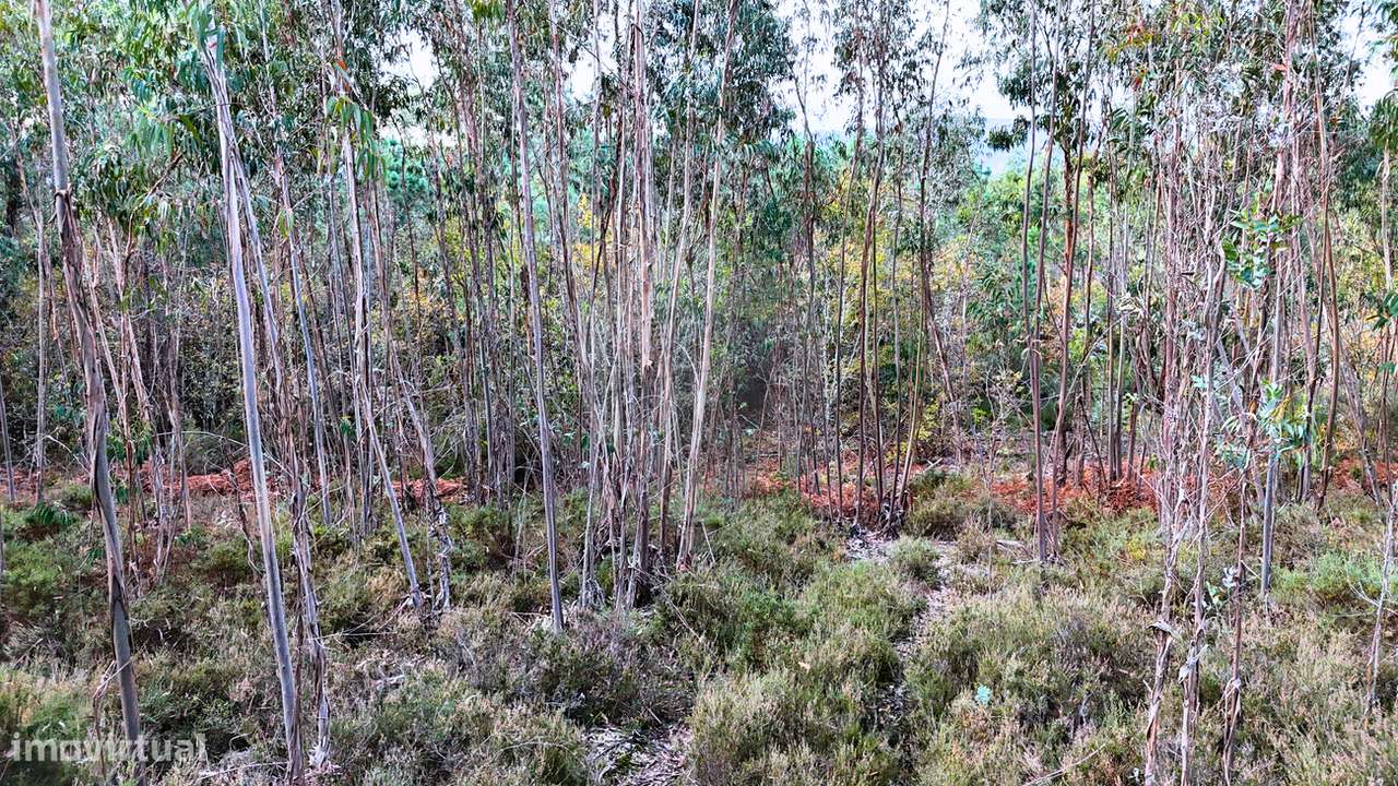 Terreno  para venda - Grande imagem: 4/5