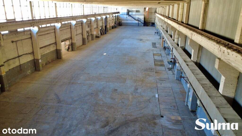 Wysoka Hala Przemysłowa | Produkcja | Magazyn - Pełny obrazek: 5/6