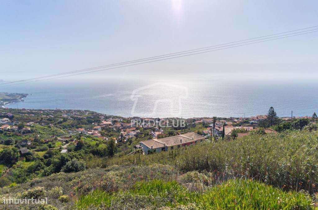 Terreno Gaula - Grande imagem: 3/6