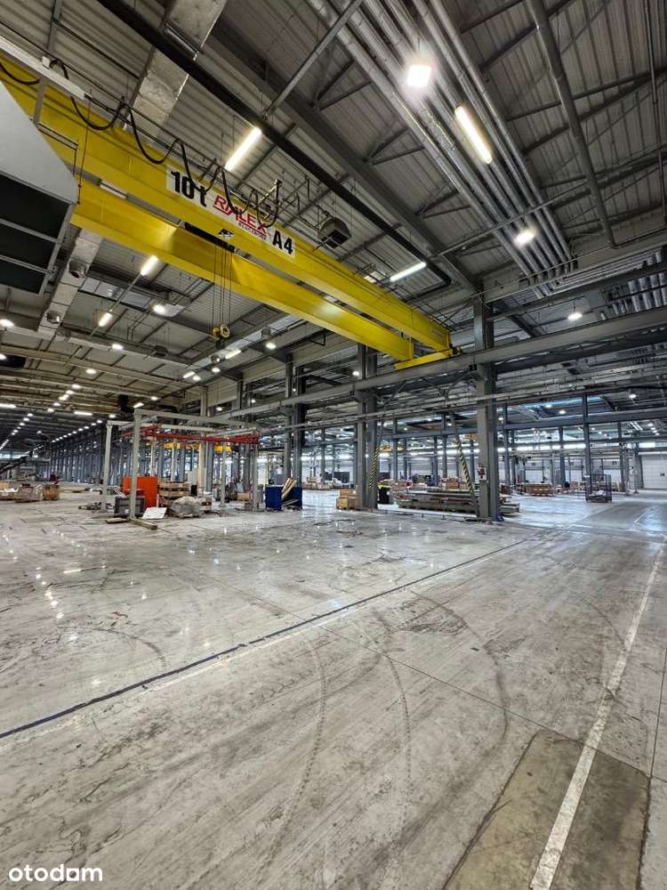 Obiekt produkcyjno - magazynowy || Alek.Łódzki - Pełny obrazek: 3/8