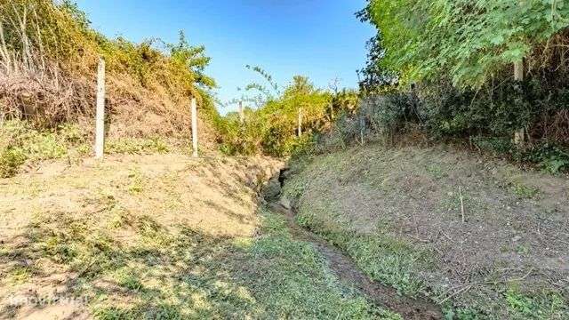 Quinta Exclusiva em Abação – Refúgio com 14.000 m²-21