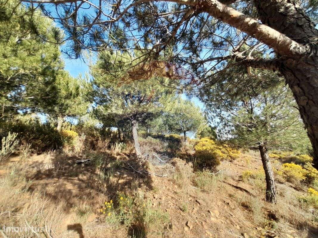 Terreno  para venda - Grande imagem: 3/7