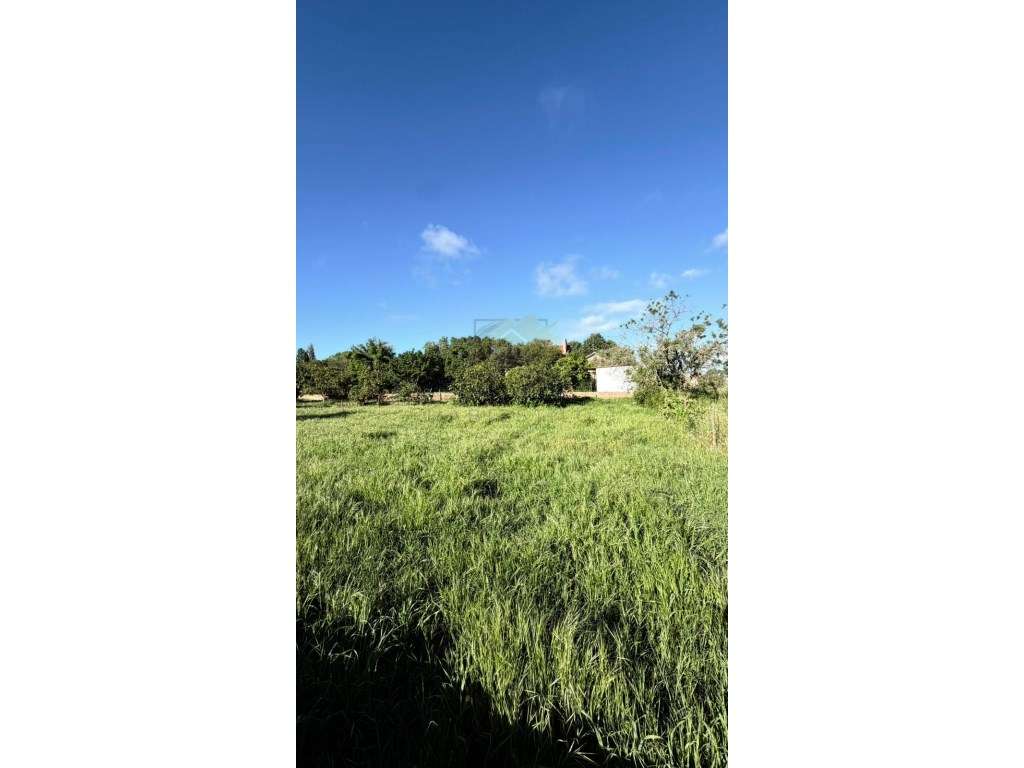 Terreno urbano para construção em excelente zona-8