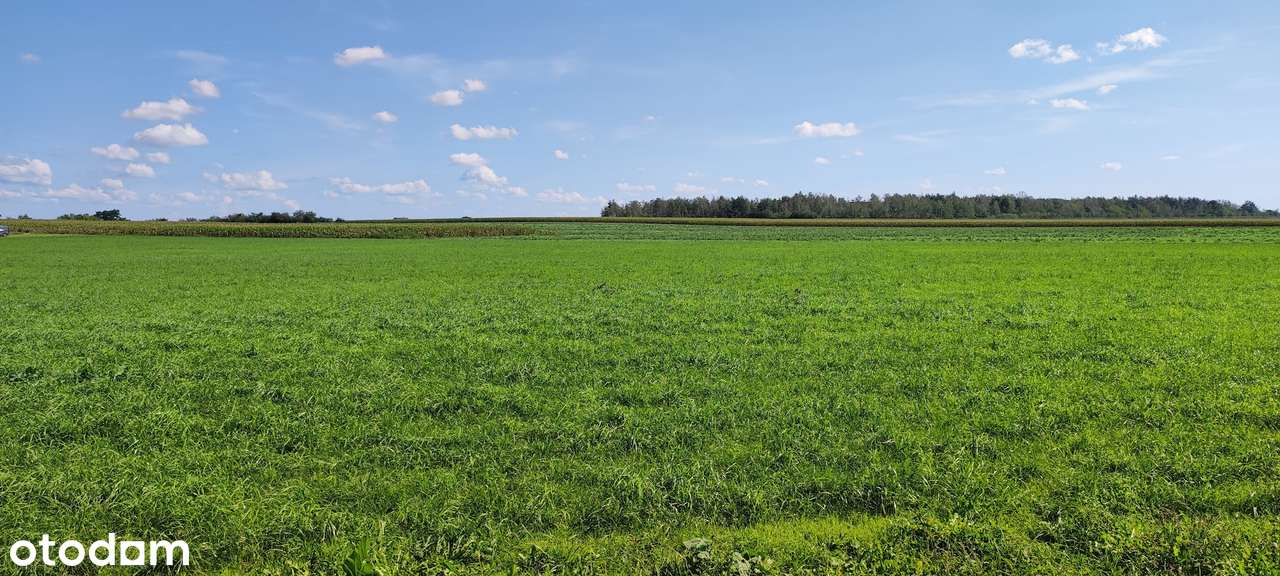 Chomęcice piękna działka CISZA I SPOKÓJ-6