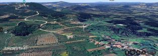 Terreno Agrícola em Alvorge de 1250,00 m2 - Grande imagem: 4/10
