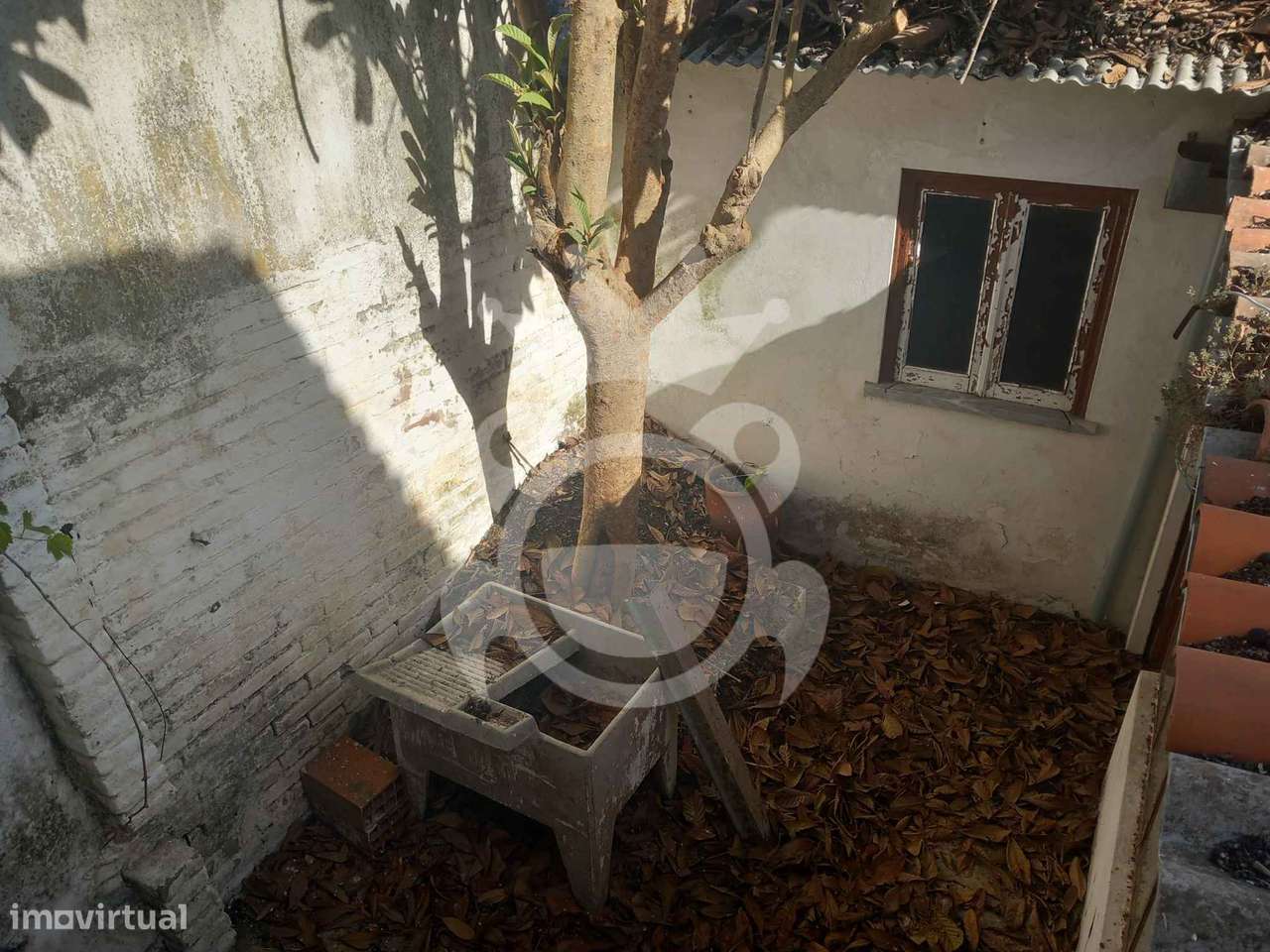 Moradia para restaurar - Mombeja-6