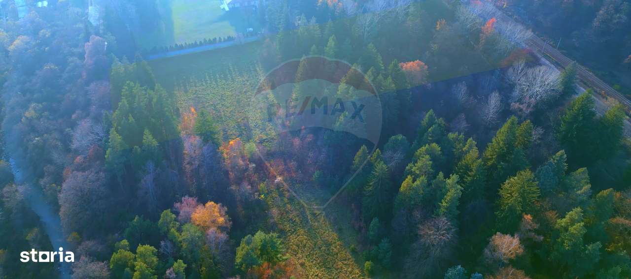 Teren constructii 10,000mp Timisul de Jos , PARCELABIL min 250 mp-3