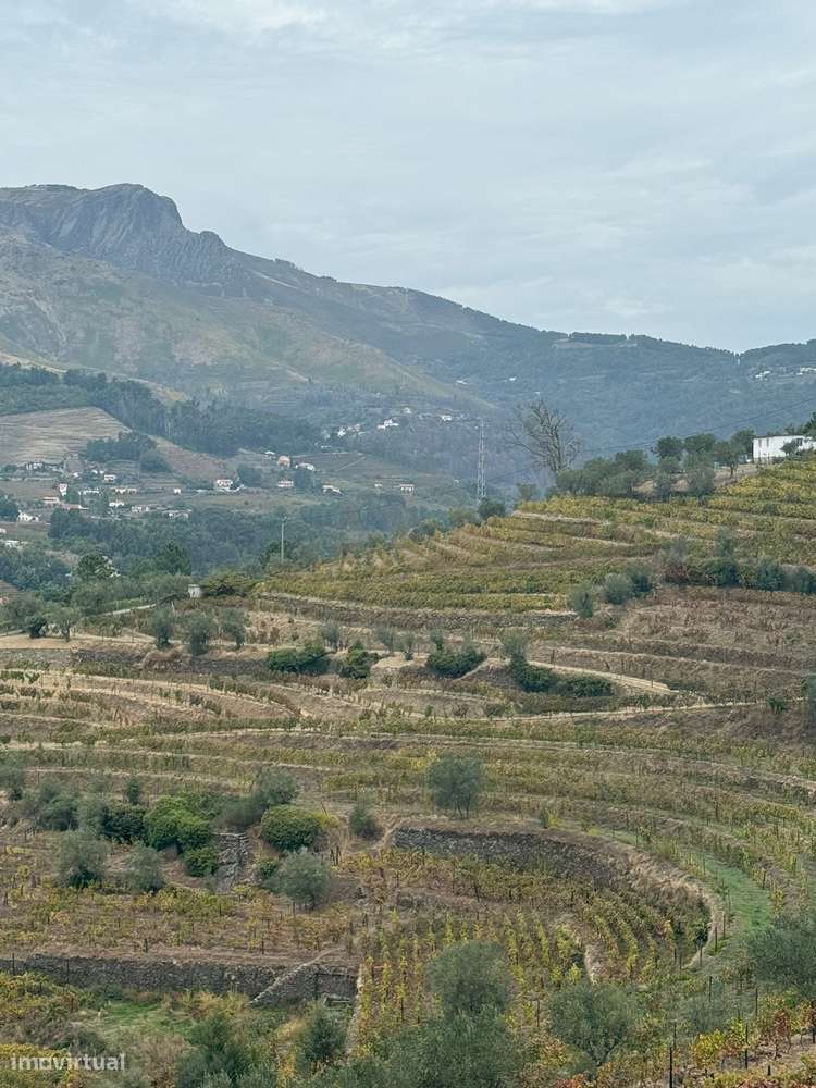 Quinta do Prado em Moura Morta, Régua-33
