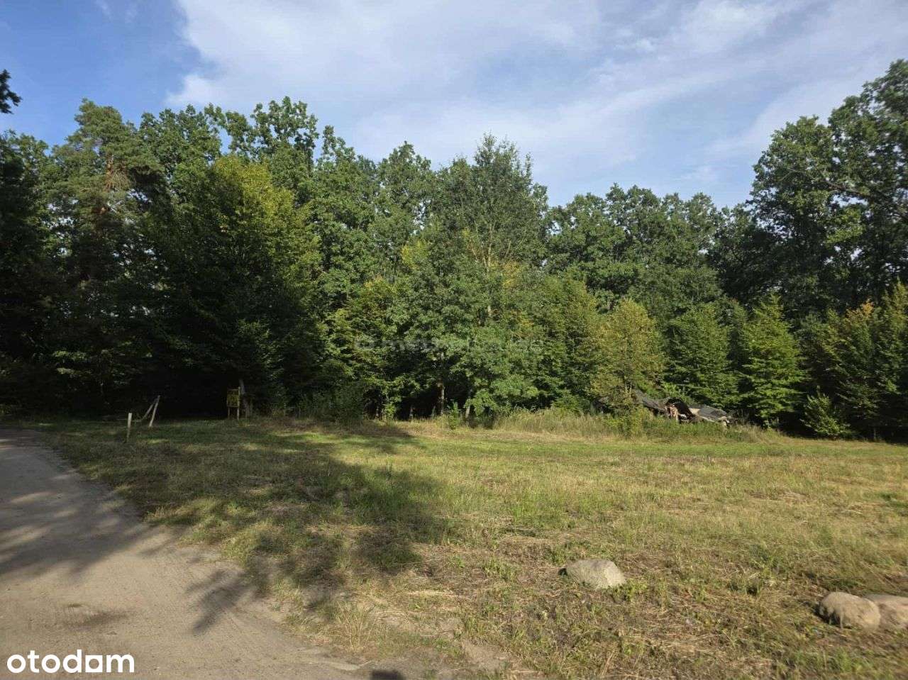 Działka, 2 330 m², Michałki - Pełny obrazek: 4/4